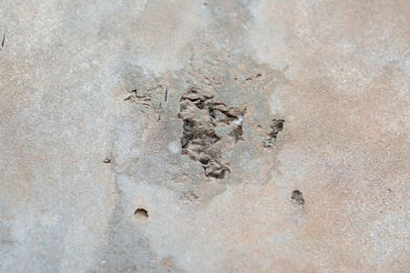 The texture of old gray concrete walls for background, Surface, and pattern of gray cement.の写真素材