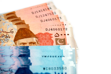 Currency notes in Pakistani Rupees