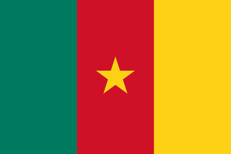 Flag of Cameroon - Vector illustration.のイラスト素材