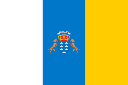 Flag of Canary Islands - Vector illustration.のイラスト素材