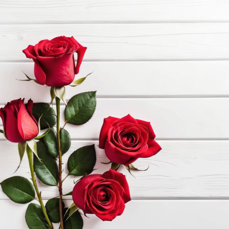 Red rose flowers over white wood background. Romantic greeting card for Valentine's Day.の素材