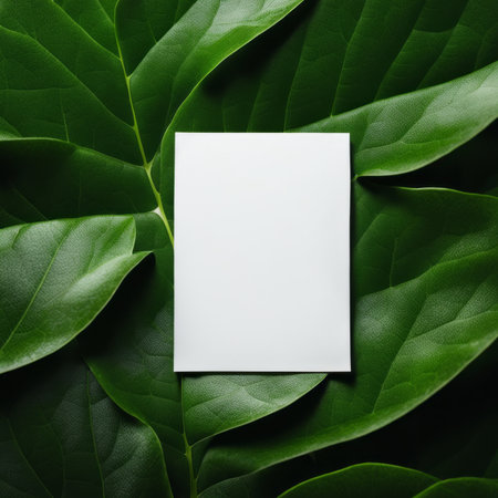 Blank white business card on green leaves background. Top view.の素材