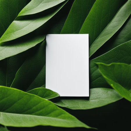 Blank business card on green leaves background. Template for branding identity.の素材