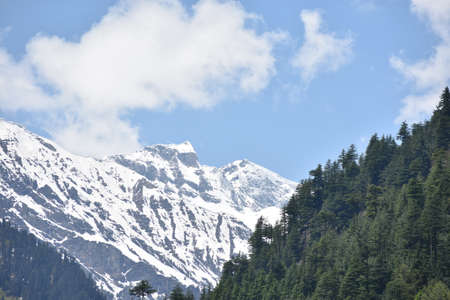 Mountain landscape with coniferous forest and snow-capped peaksの写真素材