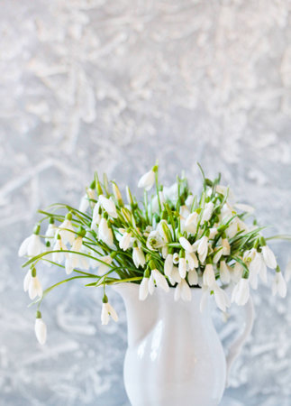 spring flowers snowdrops on a light background. space for copy space.の写真素材