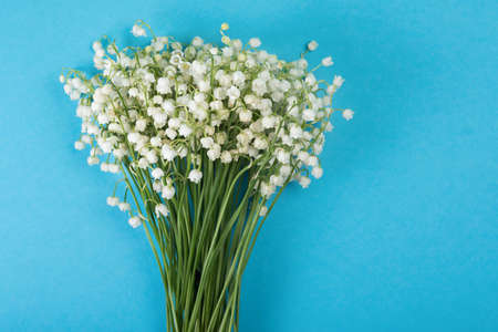 Bouquet of a fragrant white lily of the valley on a pastel blue background, with copy space. Top view.の写真素材