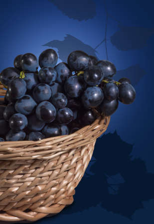 Juicy blue grapes in a basket on a blue background.の写真素材