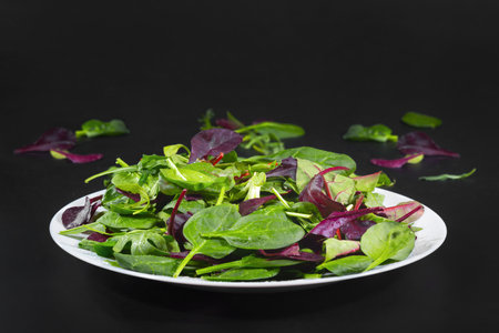 Fresh green salad leaves at the black background.の写真素材
