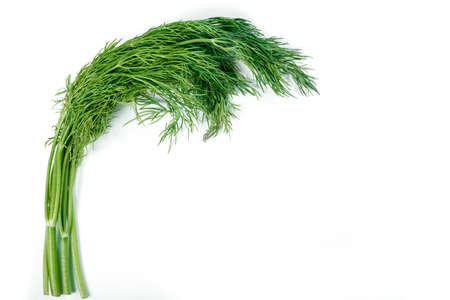 Dill on white background with copy space