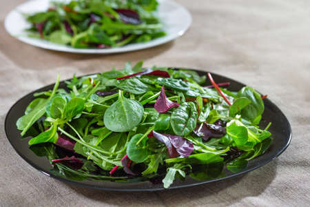 A mixed green salad, leaves of arugula, lettuce and spinach.の写真素材
