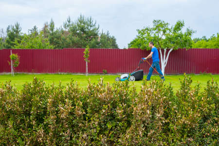 A man is cutting grass in the backyard in summer day. Cleanup season.の写真素材