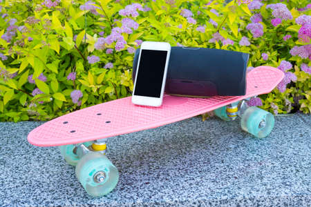 Phone, musical Bluetooth a column, a skateboard close up against the background of flowers.