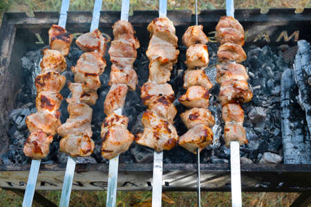 Marinated shashlik preparing on a barbecue grill over charcoal.の写真素材