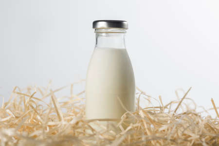 Bottle of fresh milk in the hay on a white background. Healthy food.の写真素材