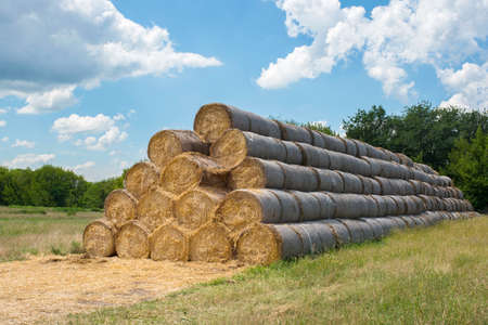 Haystack on the field on a sunny day. Harvesting hay. Agriculture.