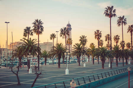 Promenade of Barcelona with palm trees and yachts on a sunny day. View of palm trees and a marina.の写真素材