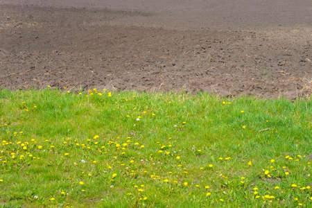 Grass and soil background. Work with the land, agriculture.