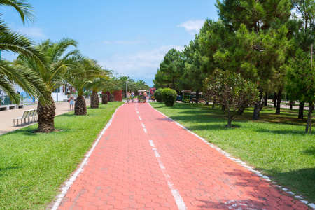 Batumi, Georgia - August 06, 2018: Beautiful embankment for sport.のeditorial素材