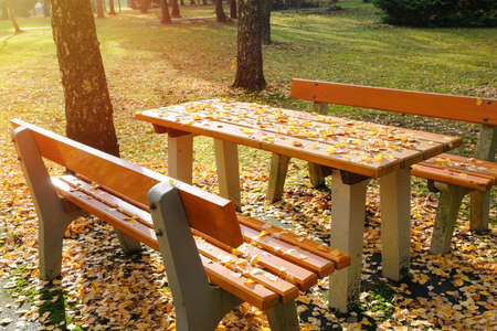 Empty wooden bench in the autumn park.