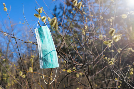 A medical mask is hanging on a tree branch on a sunny spring day. Healthcare and medicine concept.の写真素材