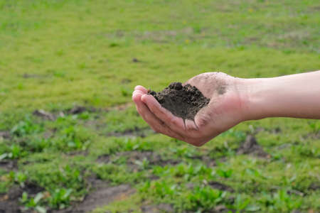 Male hand with a handful of earth in a spring garden. The concept of agriculture, plant growth, seedlings planted in the soil.の写真素材