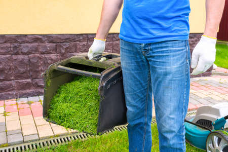 A container of mowed grass and a gardener close-up. Housework.