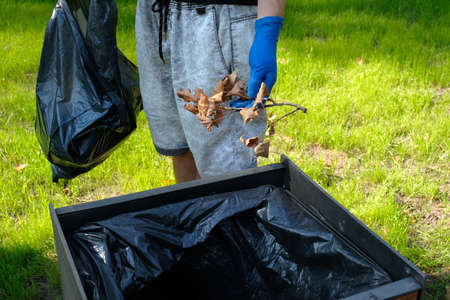 Male hands in rubber gloves placing leaves, household waste in the trash can. Cleaning of the park....