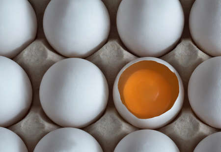 A chicken egg is half broken among other eggs