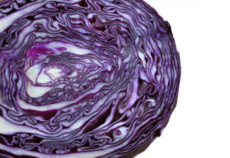 red cabbage closeup isolated on white background.の写真素材