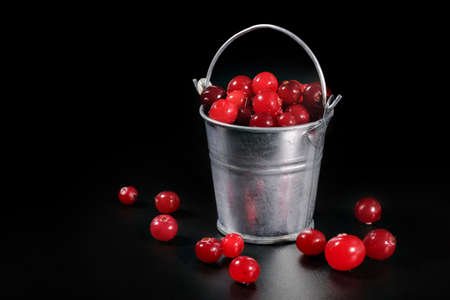 Fresh cranberries in a metal bucket on a black background. Full bucket of red berries.の写真素材
