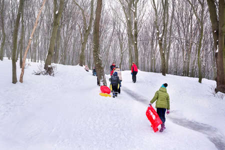 Children with their parents are going sledding in a park in the middle of the forest. Children are playing in the open air in the snow.の写真素材