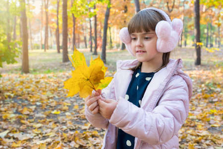 Portrait of a child, girls with yellow leaves in the autumn park, on a sunny day.の写真素材