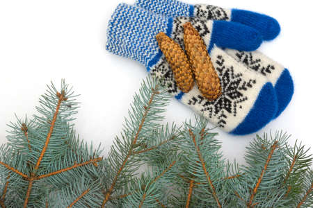 Christmas mittens are isolated on a white background.の写真素材