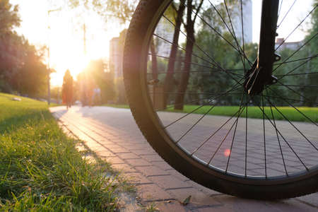 Front wheel of a bicycle on a park road on a sunny day.の写真素材
