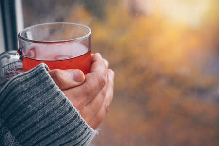 A cup of hot fruit tea in the hands of a woman by the window on a cold autumn day.の写真素材