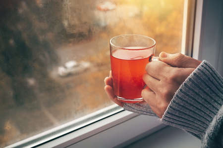 A hand holds a cup of hot tea near the window on a cold autumn day. Cozy home atmosphere in autumn