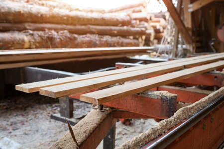 Sawmill. Wooden planks at a sawmill or in a carpentry workshop. Sawing, drying wood.の写真素材