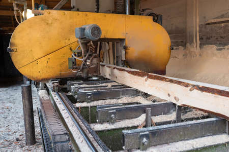 Processing wooden boards at a sawmill. The process of processing logs in the equipment of a sawmill saw a tree trunk on boards. Lumber Industry.の写真素材