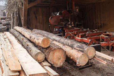 A pile of pine tree trunks and boards at a sawmill. Processing and sawing wood at a sawmill.の写真素材