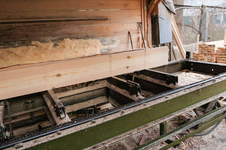 The process of processing logs and wooden planks on sawmill equipment. Timber industry. Sawing, drying wood.の写真素材