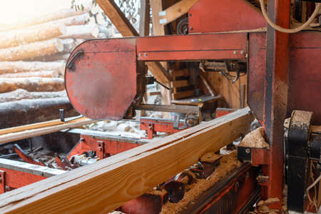 Processing wooden boards on a sawmill. Sawing and drying of wood. Woodworking industryの写真素材