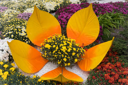 Bed of flowers in the park in the open air.の写真素材