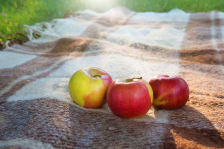 Fresh apples on a plaid in a garden, in the light of sunlight.の写真素材