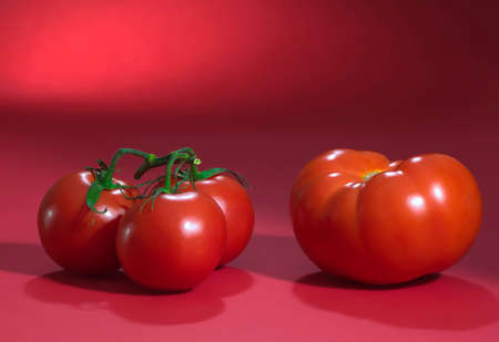 Juicy red tomatoes on a red table and a backgroundの写真素材