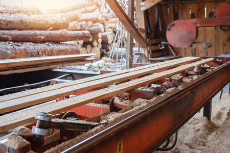 Planks from logs on the equipment of a sawmill. Woodworking industry.