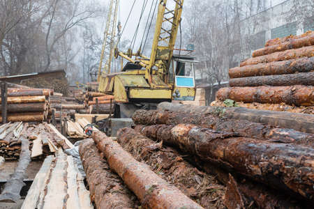 Sawmill. Old equipment and firewood at the sawmill. woodworking sawmill.の写真素材