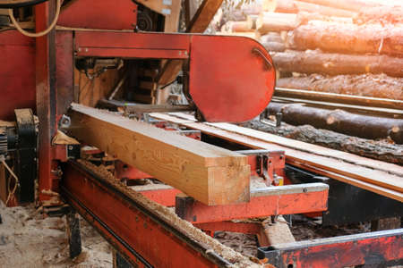 The process of processing pine wood at a sawmill. Timber industryの写真素材