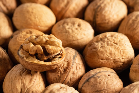 Walnut kernels and whole walnuts on the market. Healthy food.の写真素材