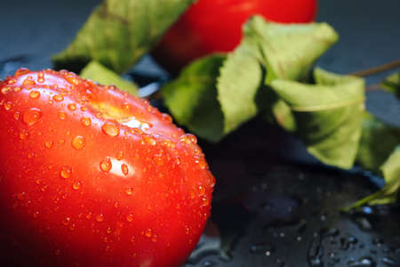 Fresh tomatoes with water drops and horseradish leaves on the table close-up. Natural fresh food...