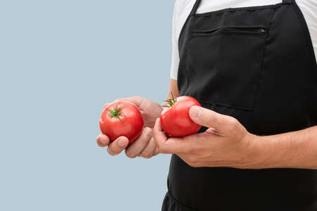 Chef in an apron with red tomatoes isolated on a blue background. Man with tomato vegetablesの写真素材